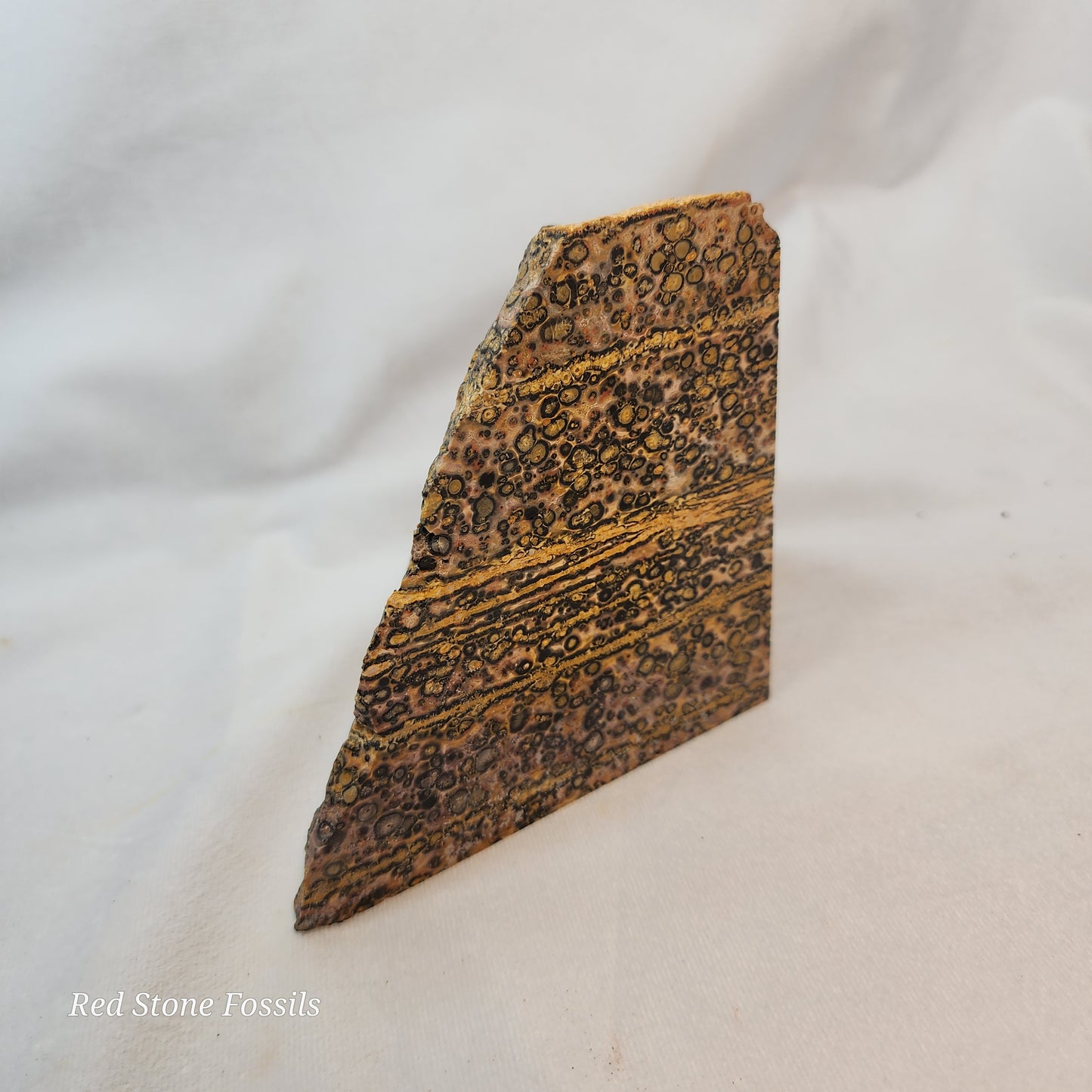 Leopard Skin Jasper Wedge