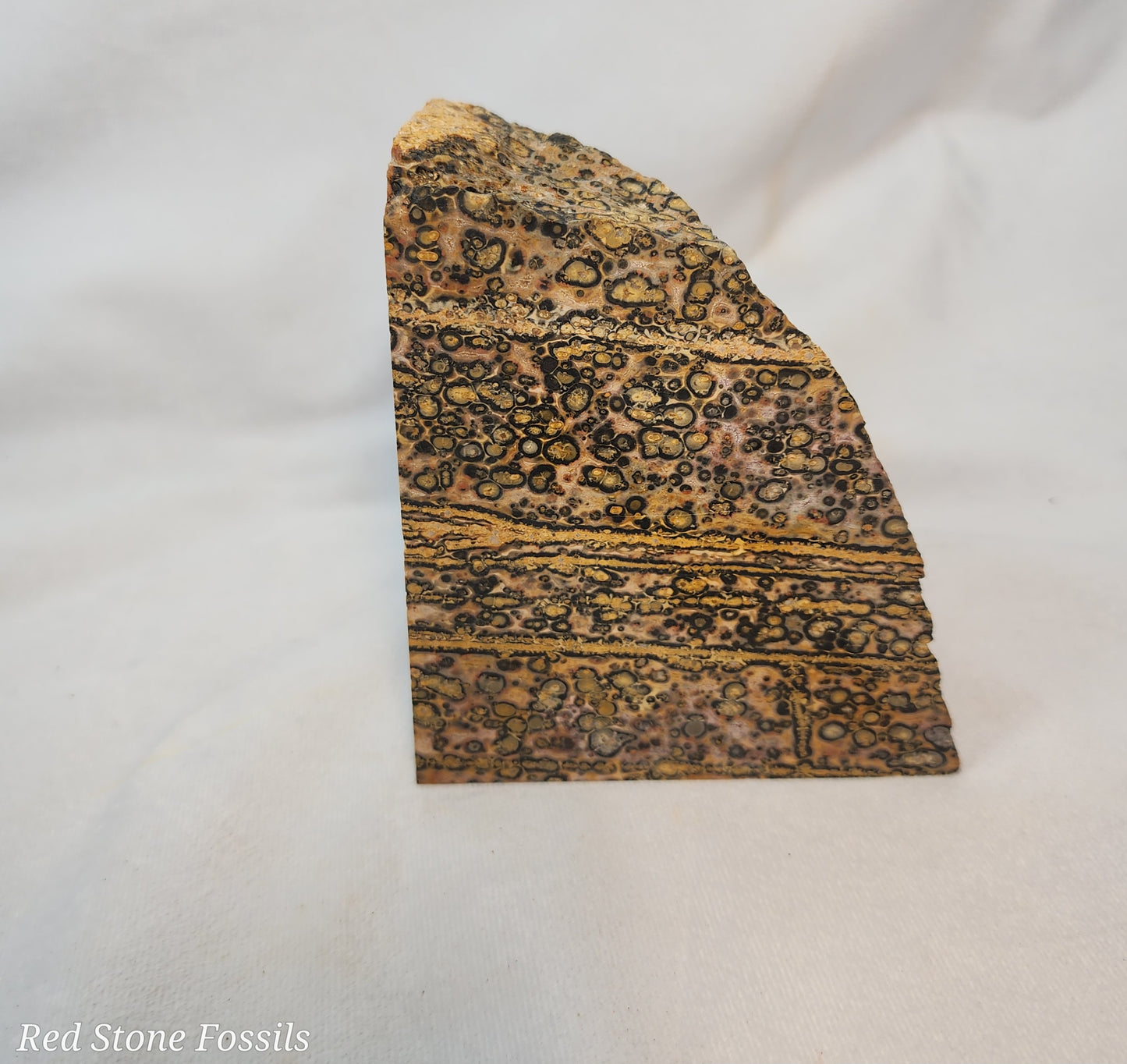 Leopard Skin Jasper Wedge