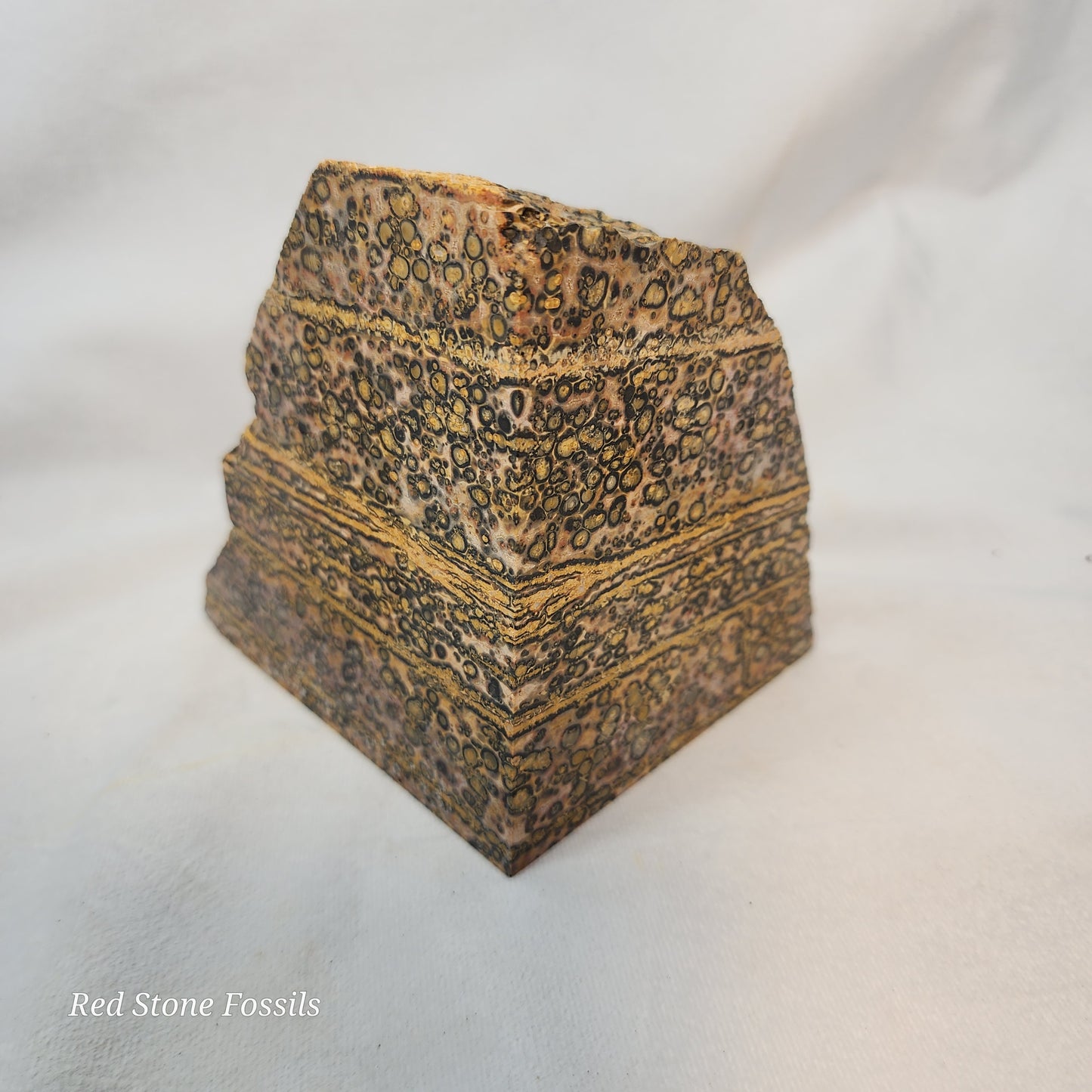 Leopard Skin Jasper Wedge