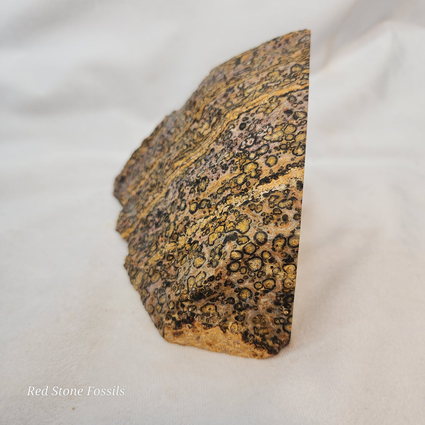 Leopard Skin Jasper Wedge