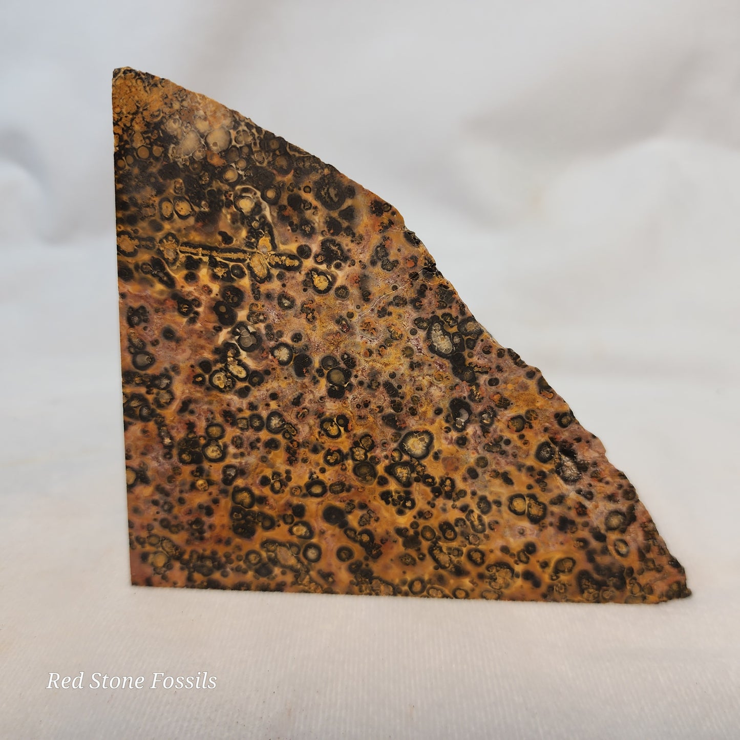 Leopard Skin Jasper Wedge