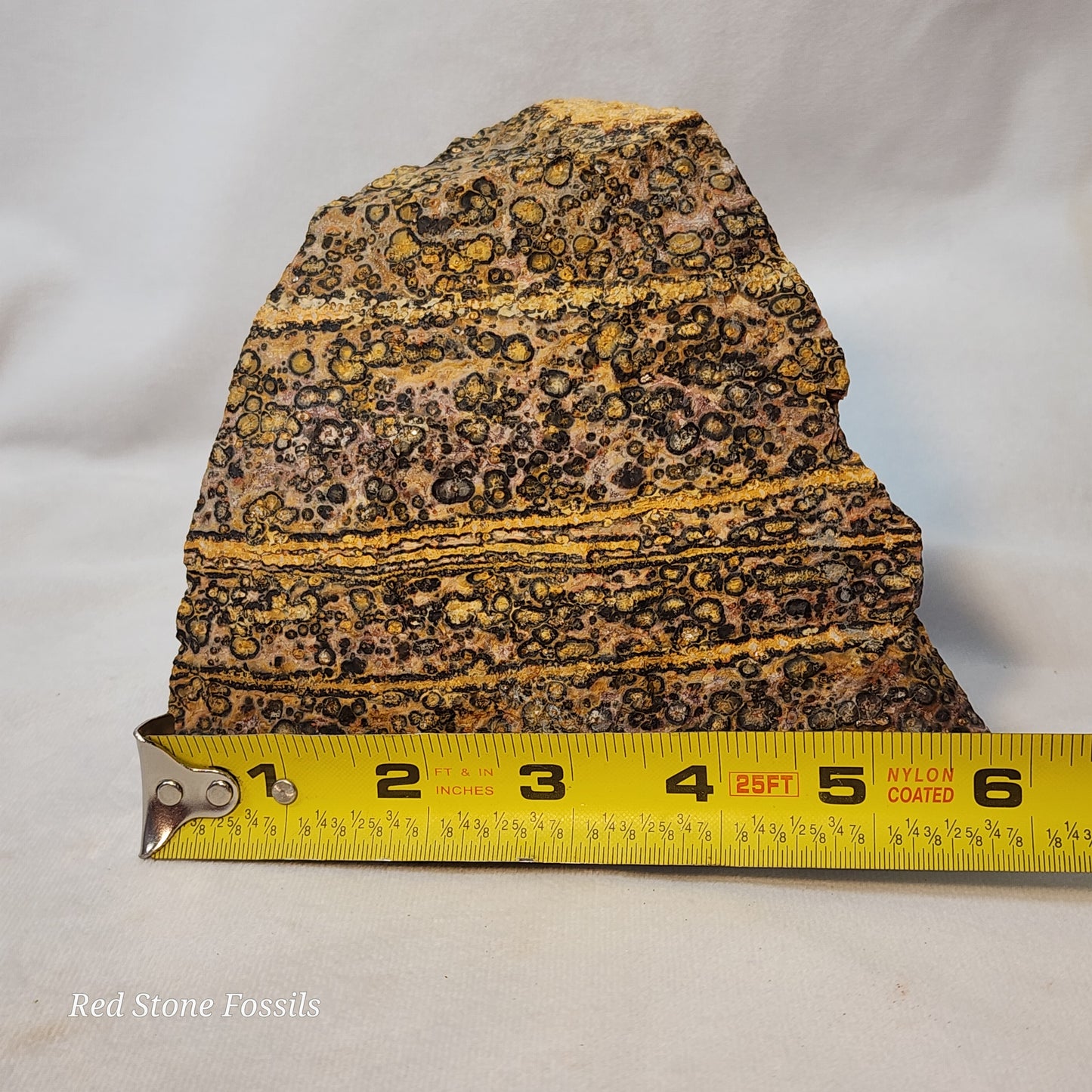 Leopard Skin Jasper Wedge