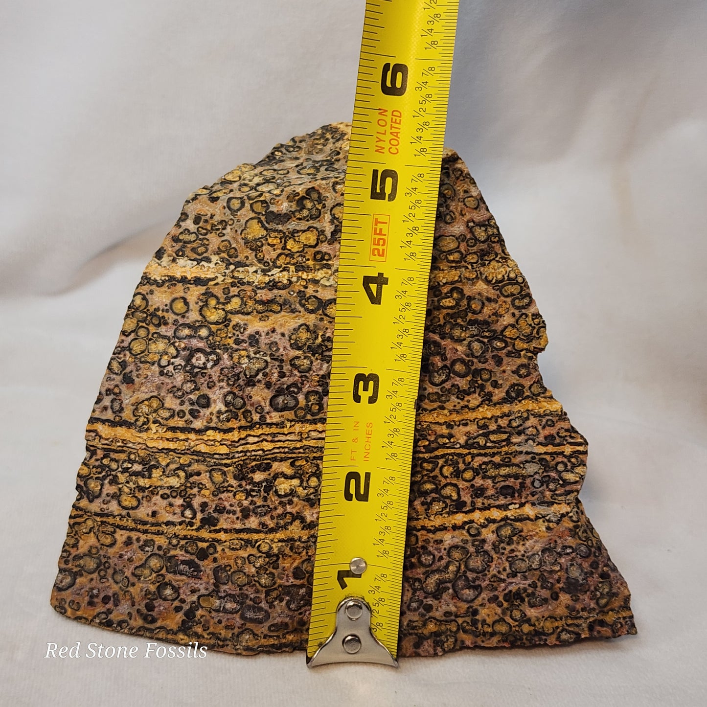 Leopard Skin Jasper Wedge