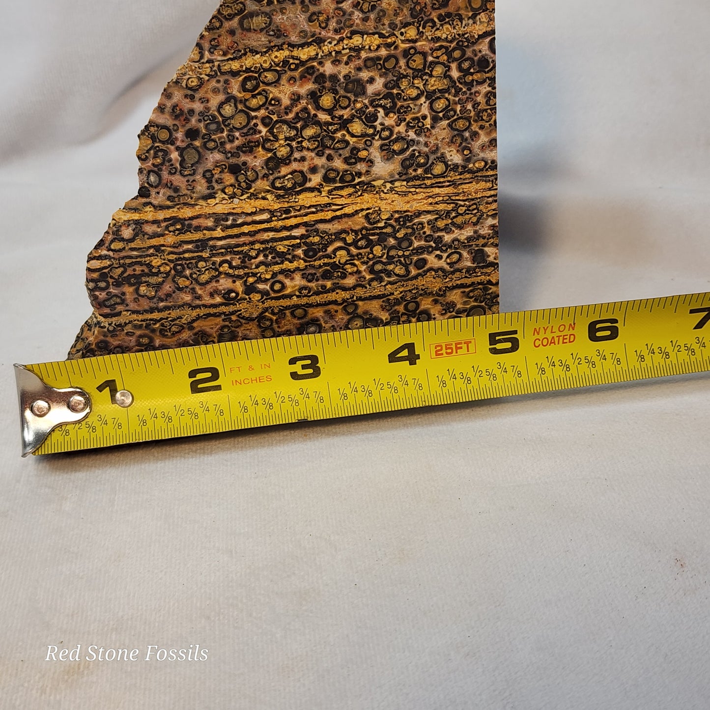 Leopard Skin Jasper Wedge