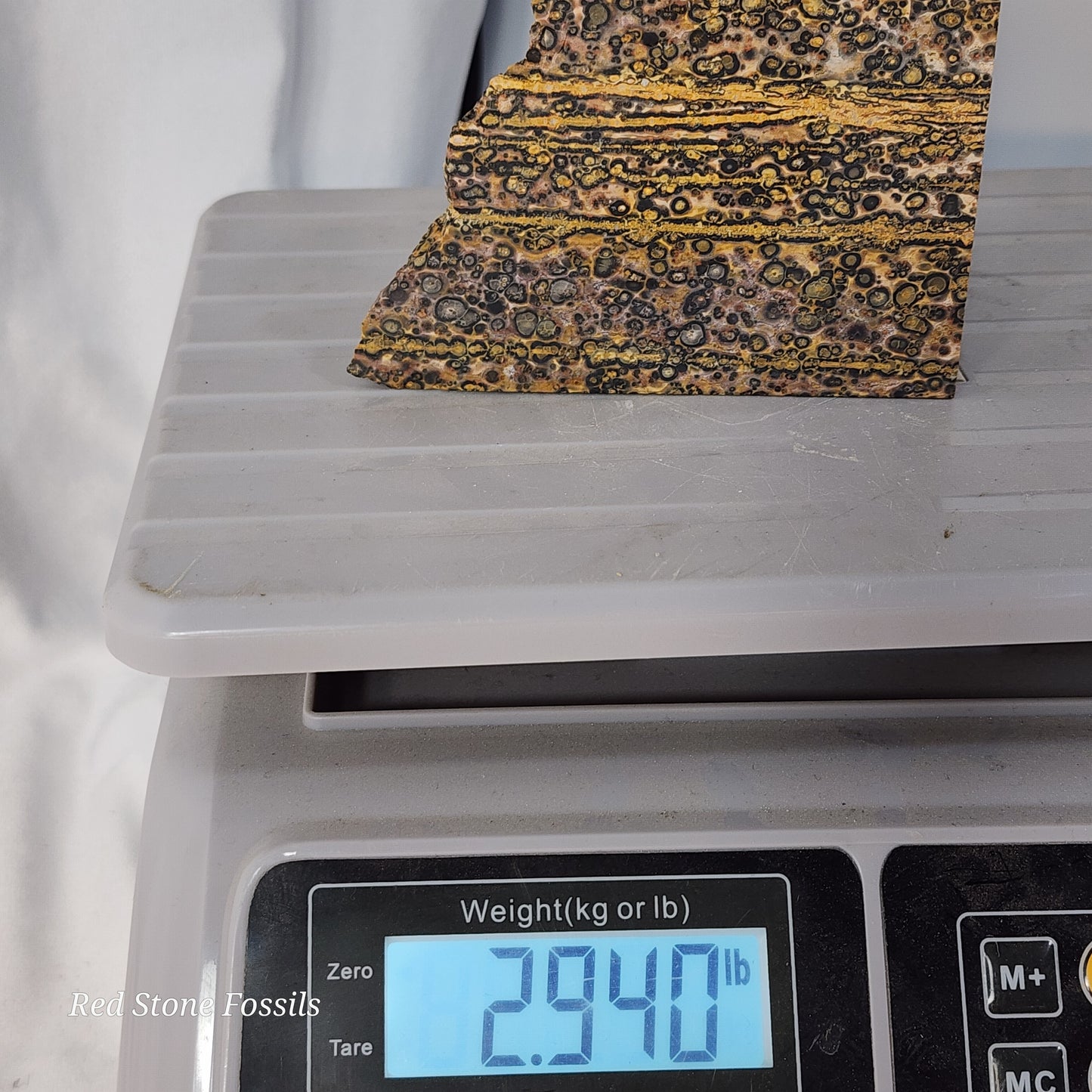 Leopard Skin Jasper Wedge