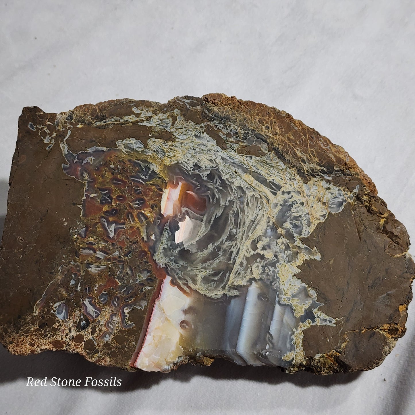 Swirled Thunderegg Slab