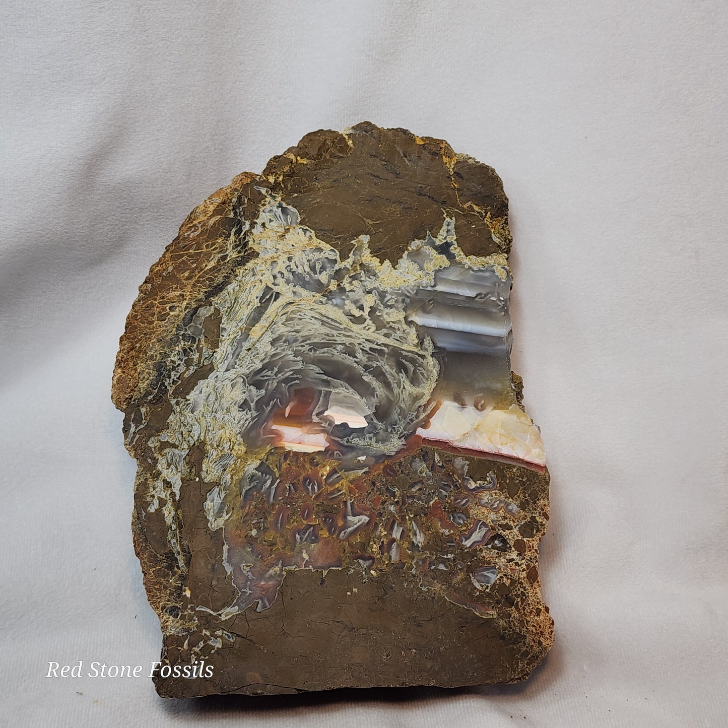 Swirled Thunderegg Slab