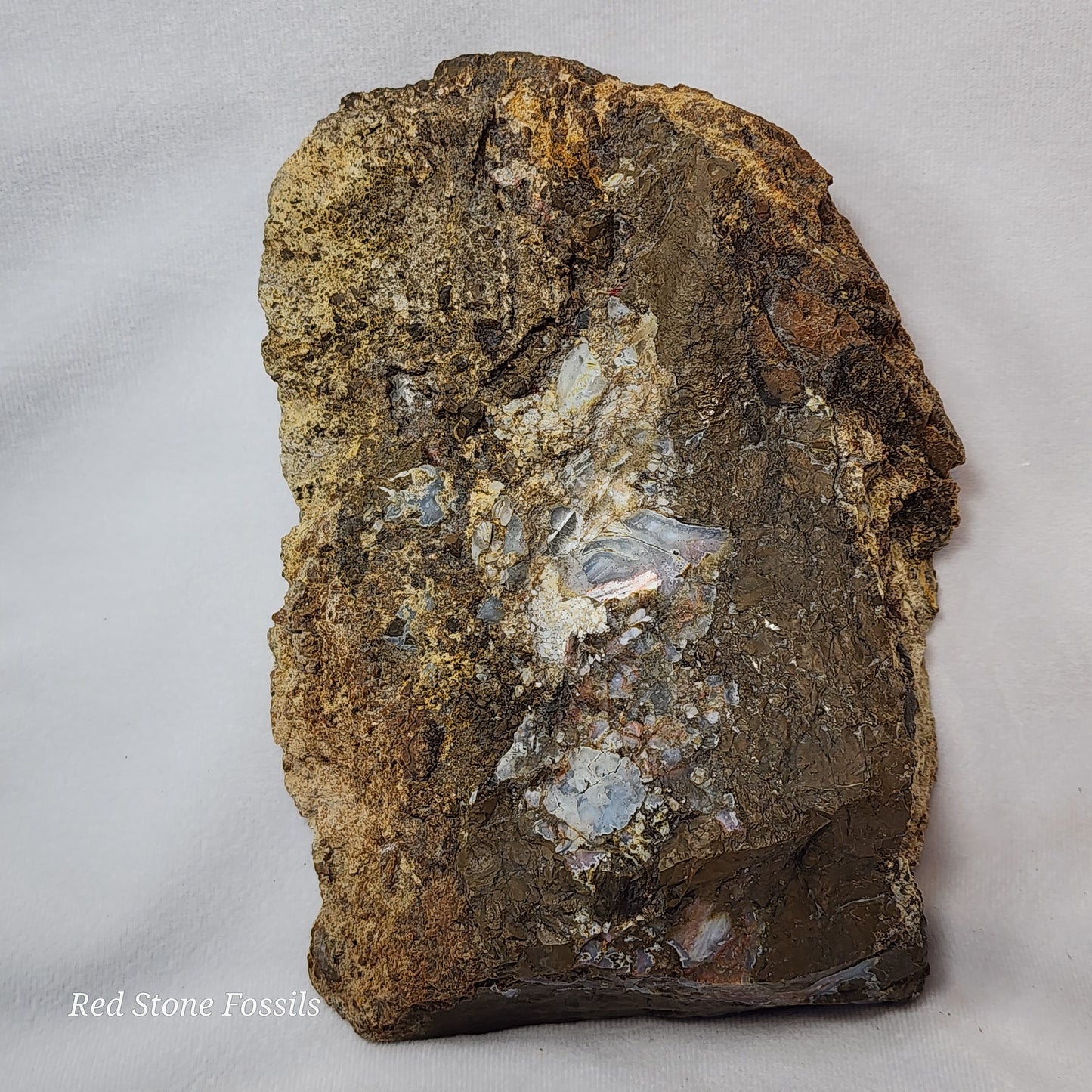 Swirled Thunderegg Slab