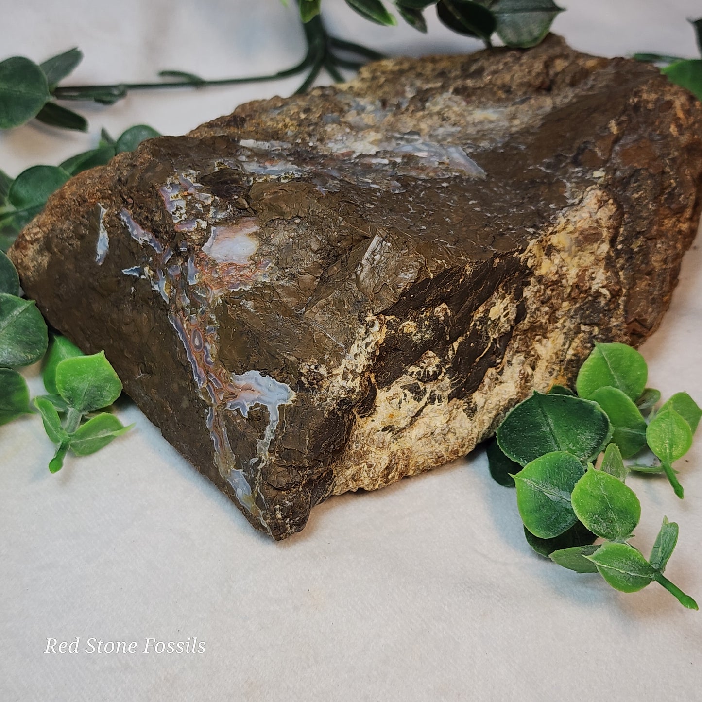 Swirled Thunderegg Slab