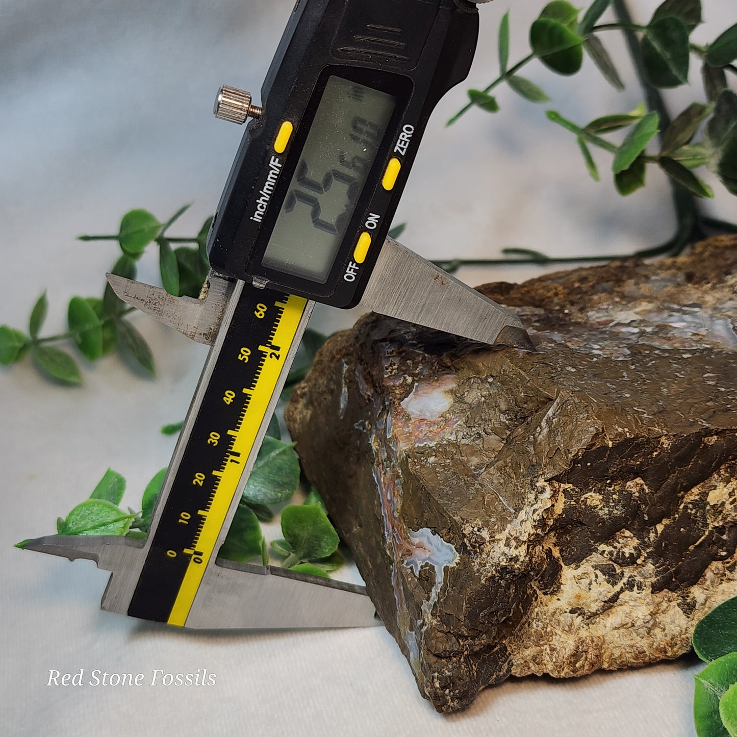 Swirled Thunderegg Slab