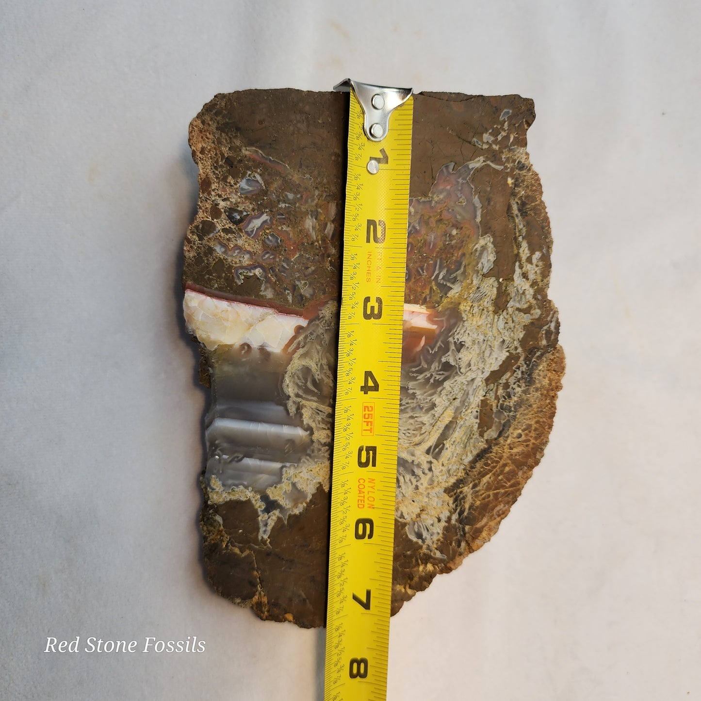 Swirled Thunderegg Slab