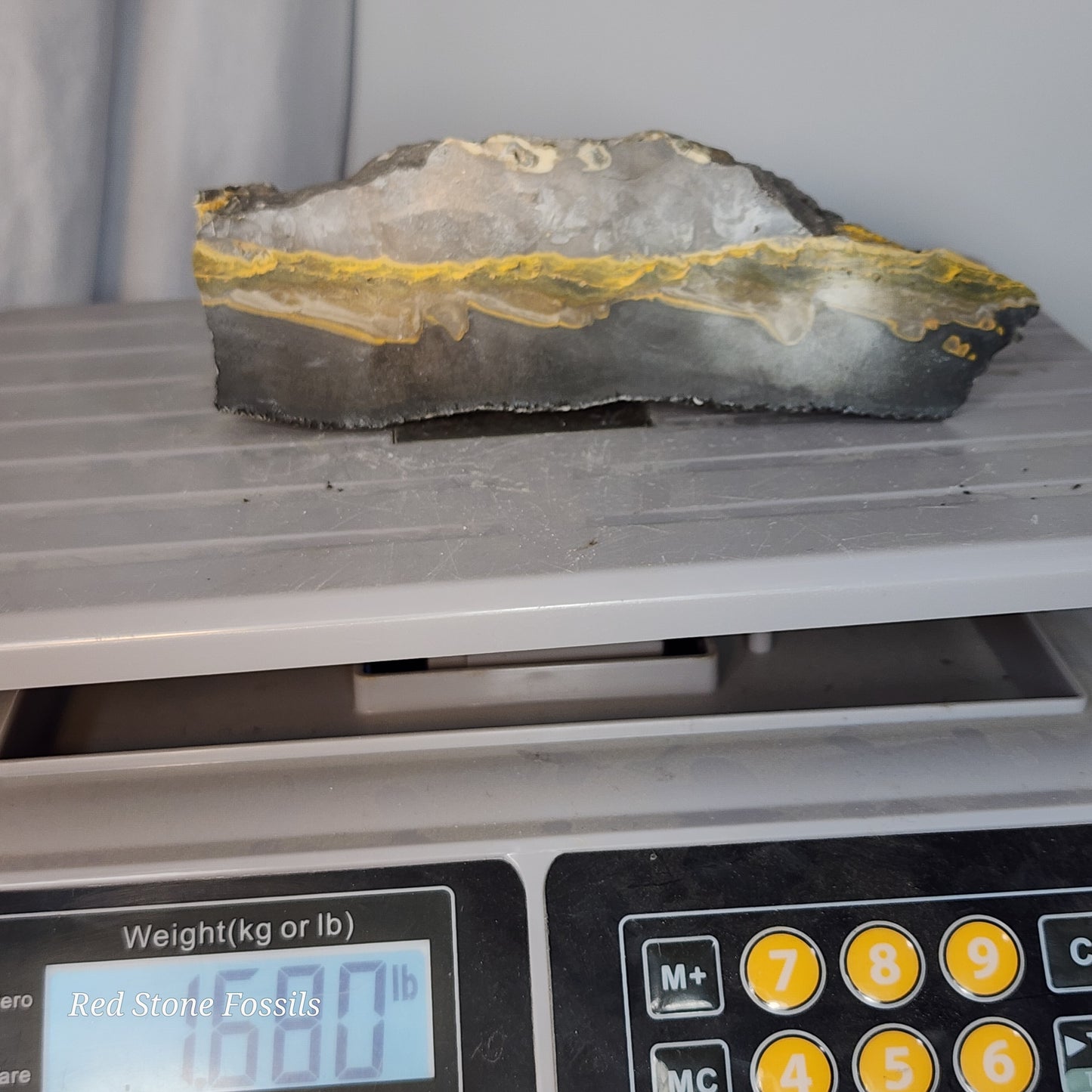 Bumblebee Jasper Slab