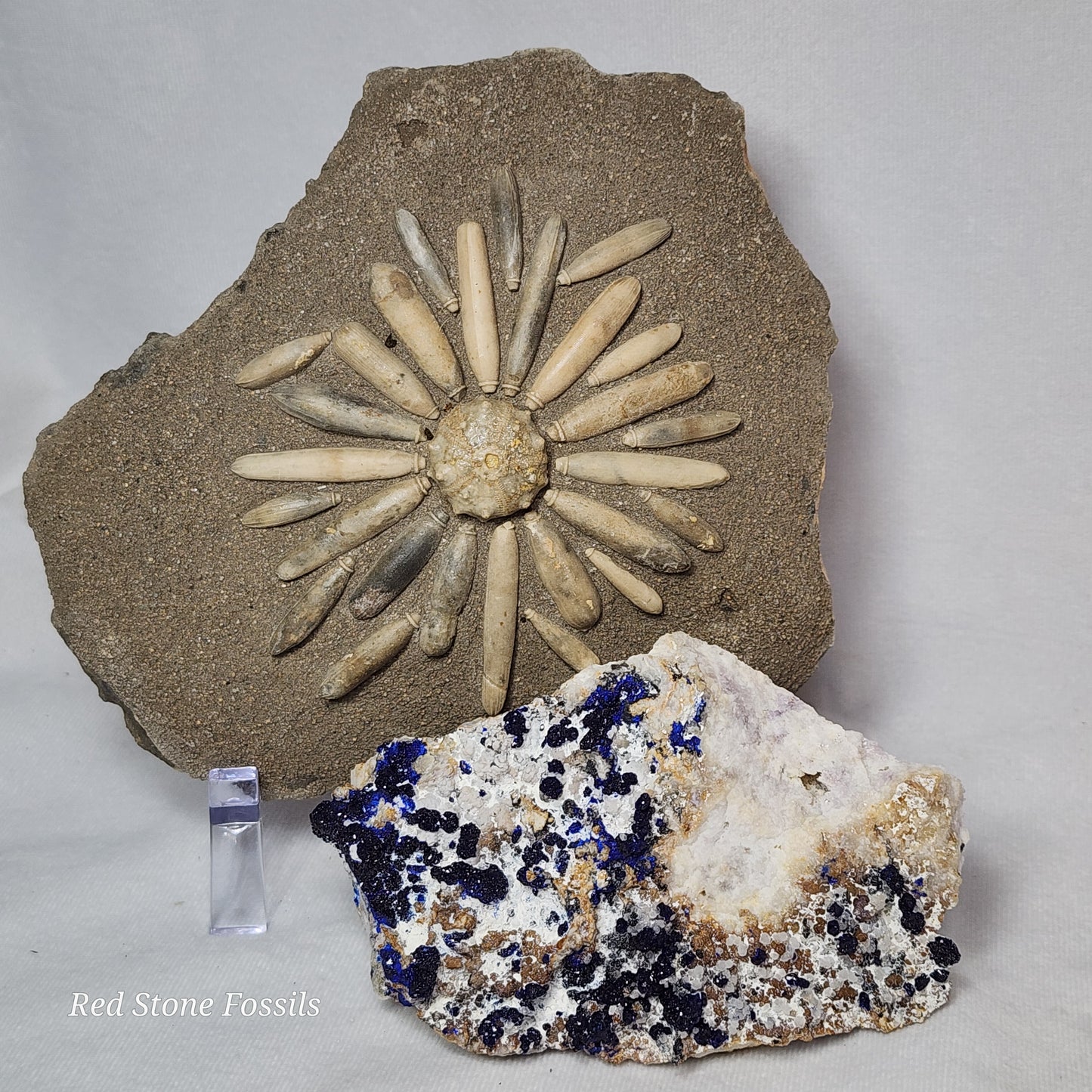 Beautiful Blue Azurite from Mexico