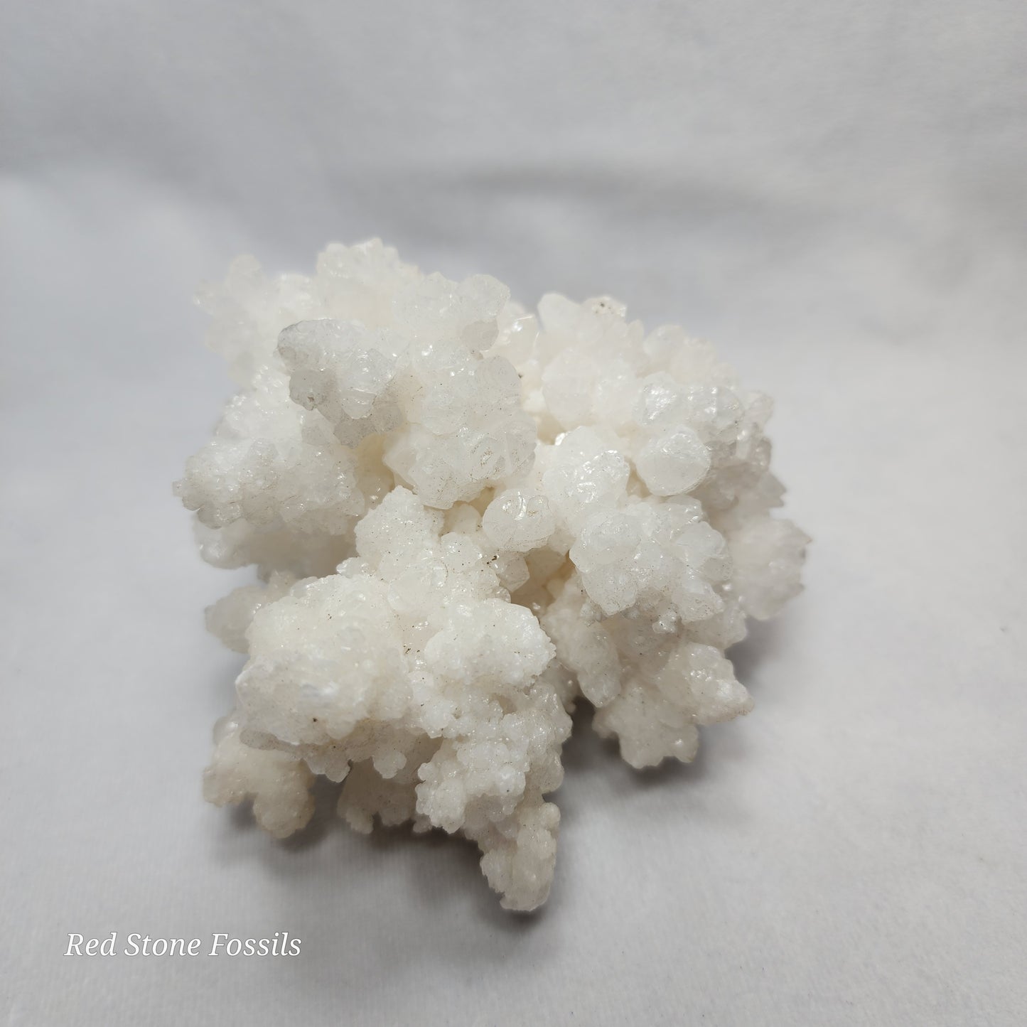 Wonderful White Aragonite Cluster from Mexico