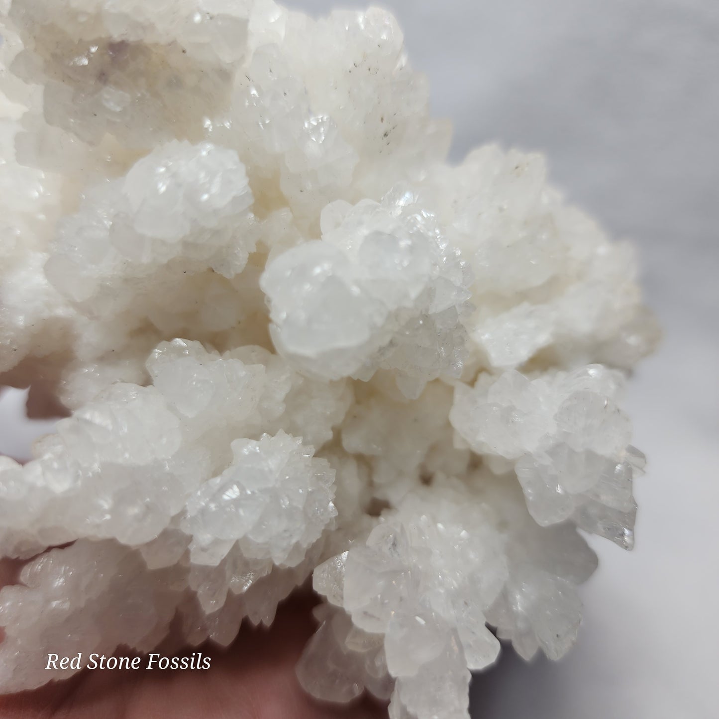 Wonderful White Aragonite Cluster from Mexico