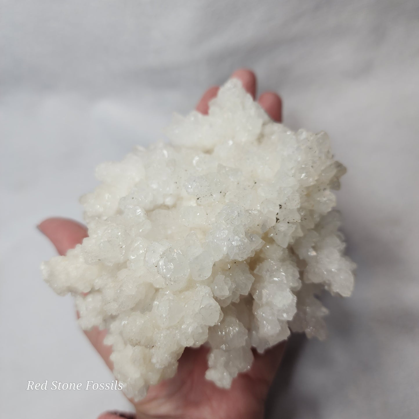 Wonderful White Aragonite Cluster from Mexico