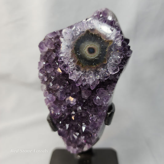 Astonishing Amethyst on Stand from Uruguay