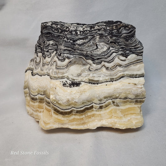Zowie Zebra Calcite