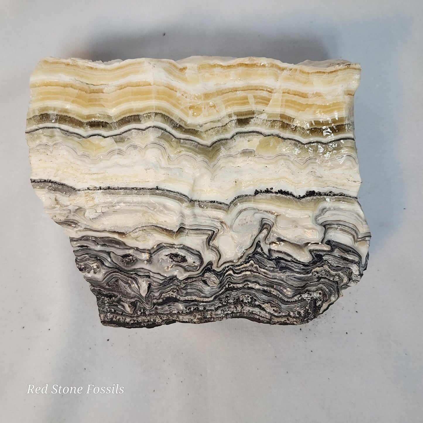 Zowie Zebra Calcite