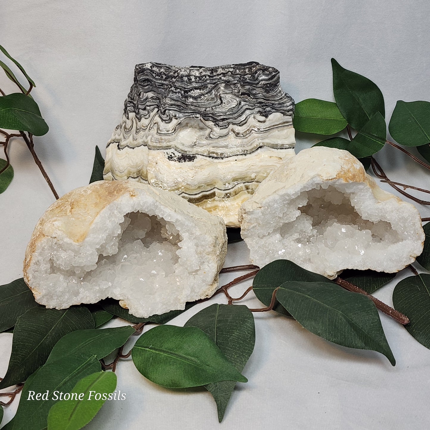Zowie Zebra Calcite