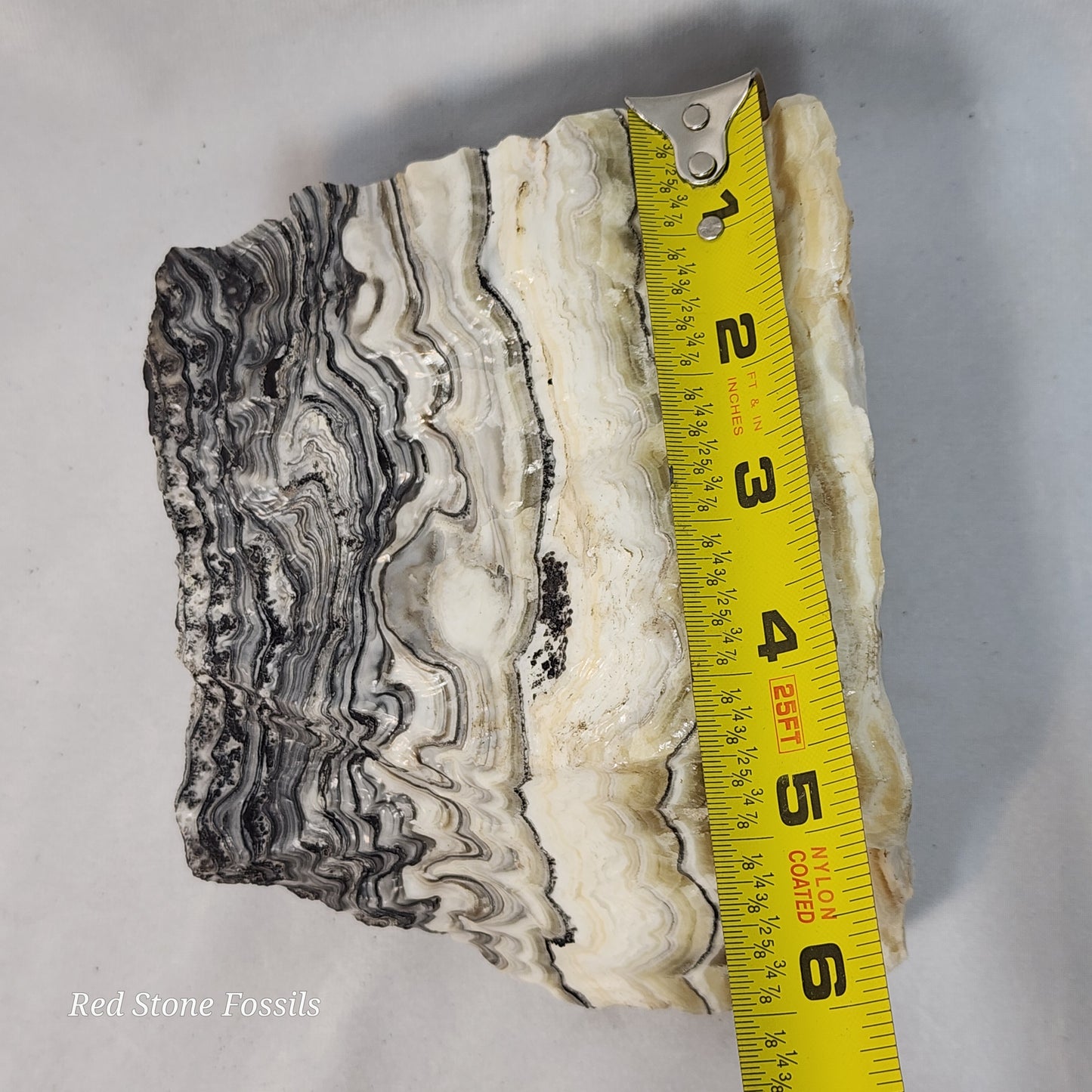 Zowie Zebra Calcite