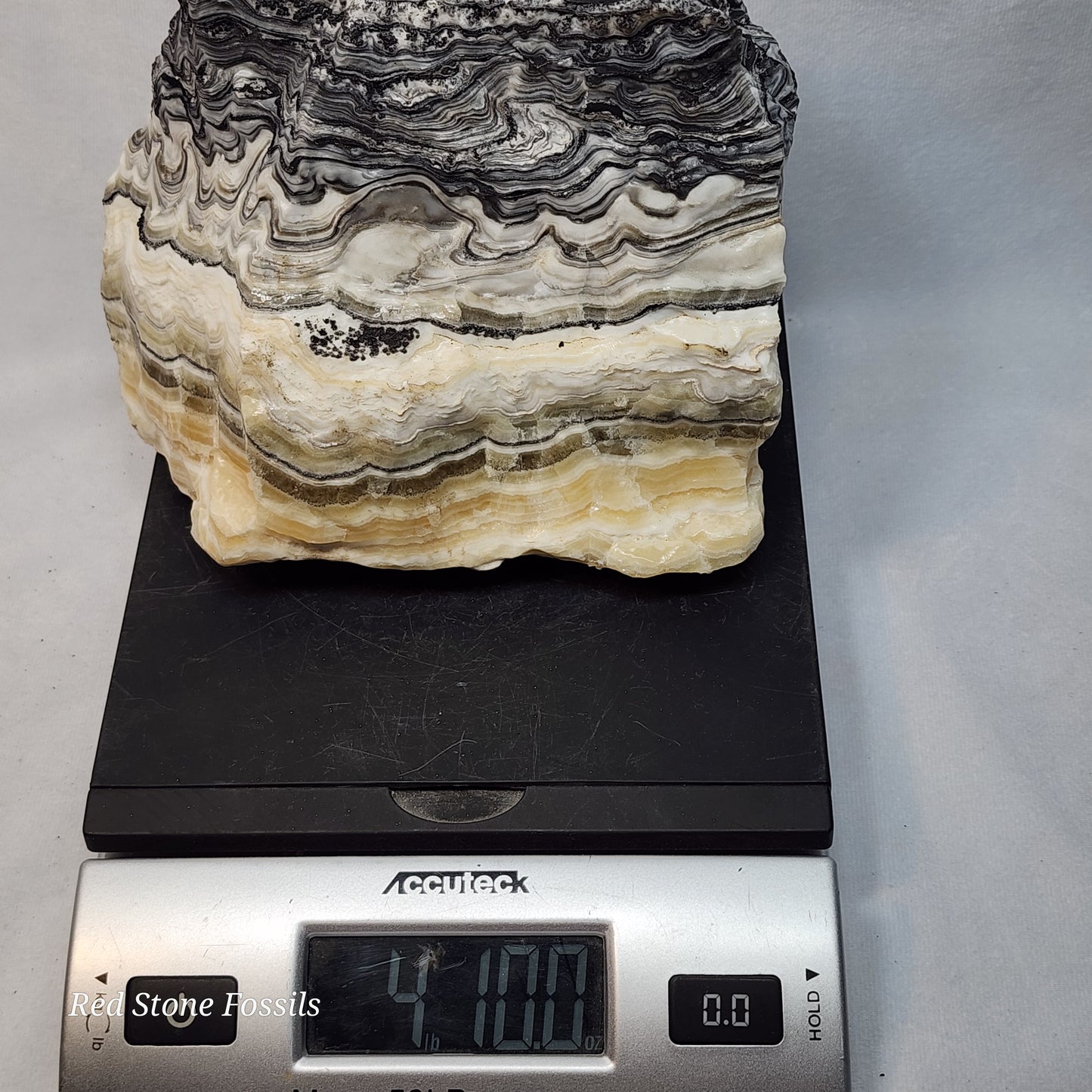 Zowie Zebra Calcite