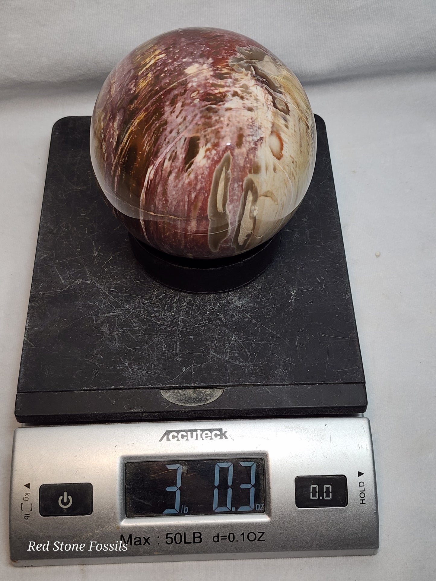 Pretty Petrified Wood Sphere