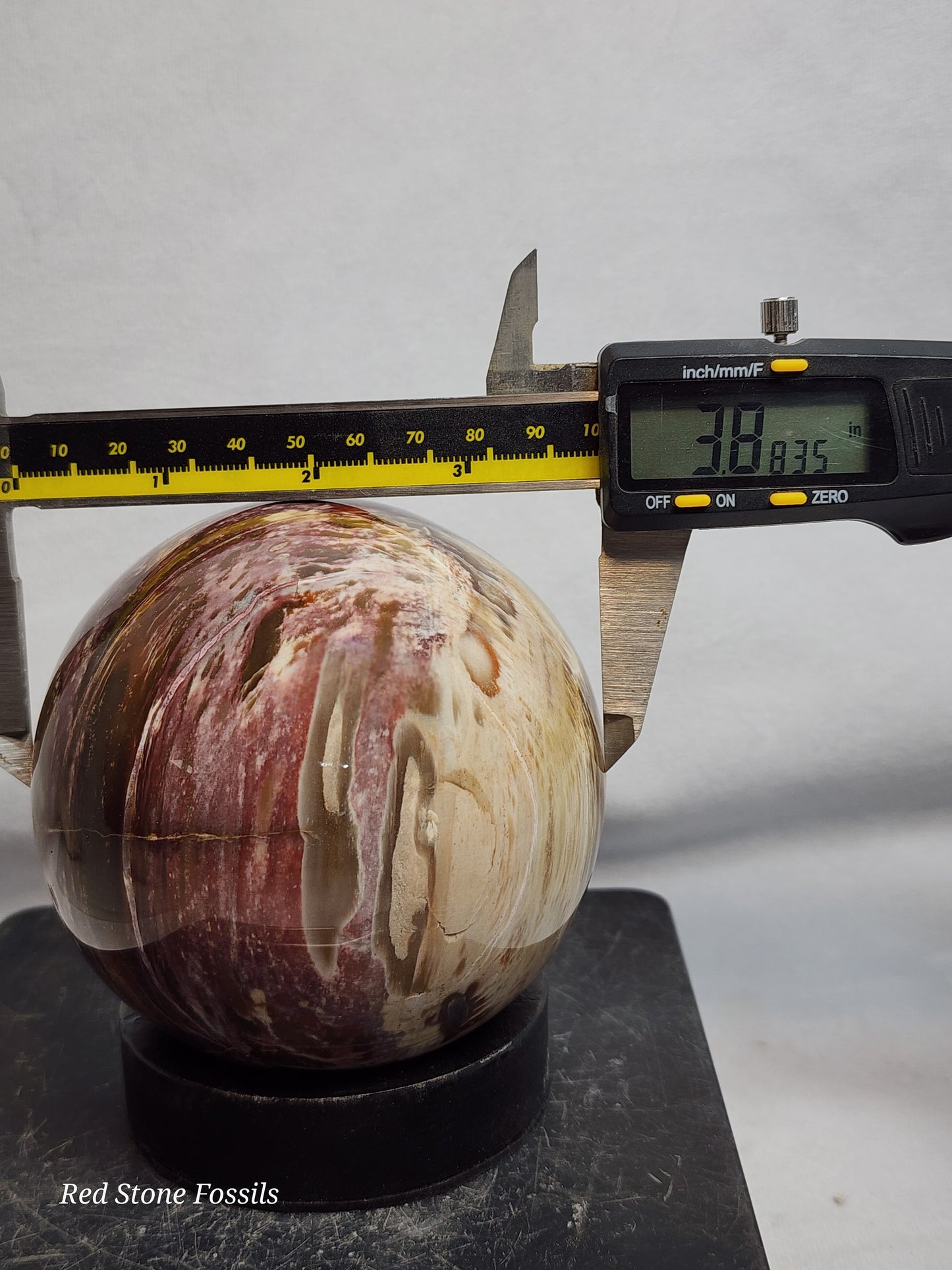 Pretty Petrified Wood Sphere