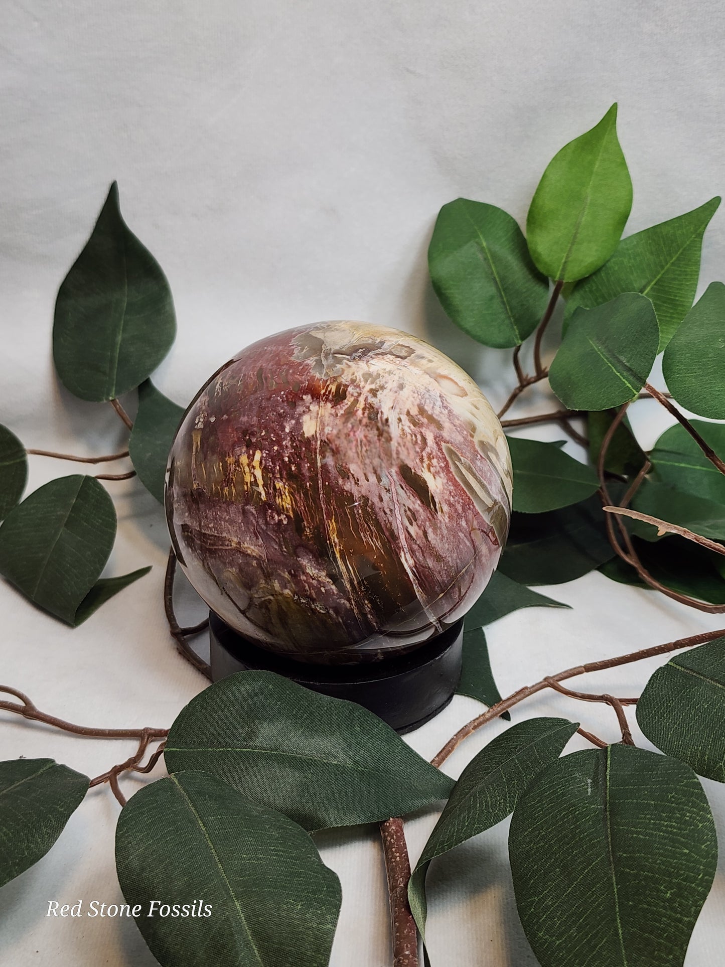 Pretty Petrified Wood Sphere