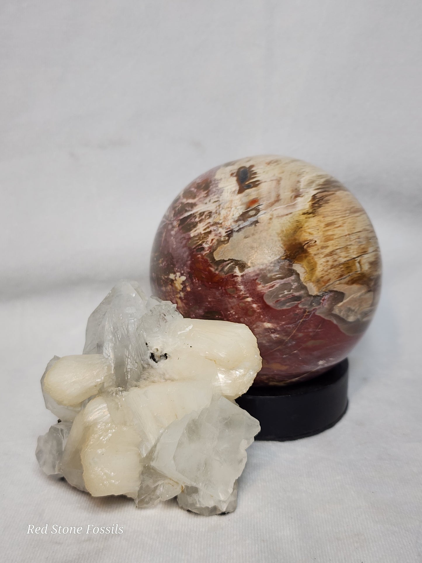 Pretty Petrified Wood Sphere