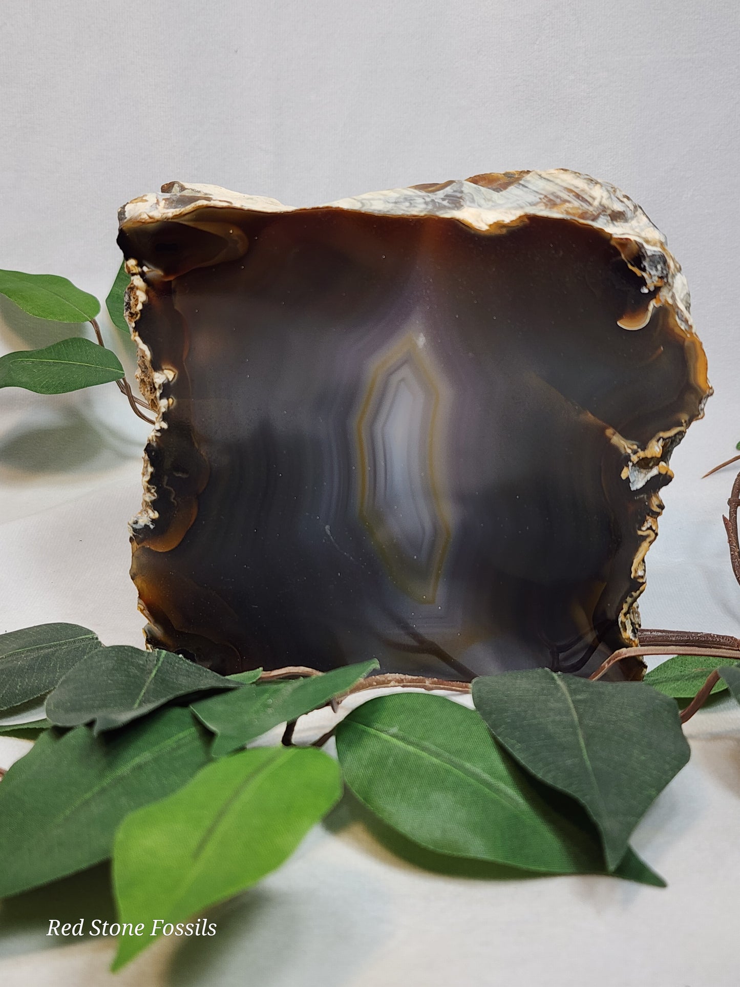 Beautifully Banded Agate Slice
