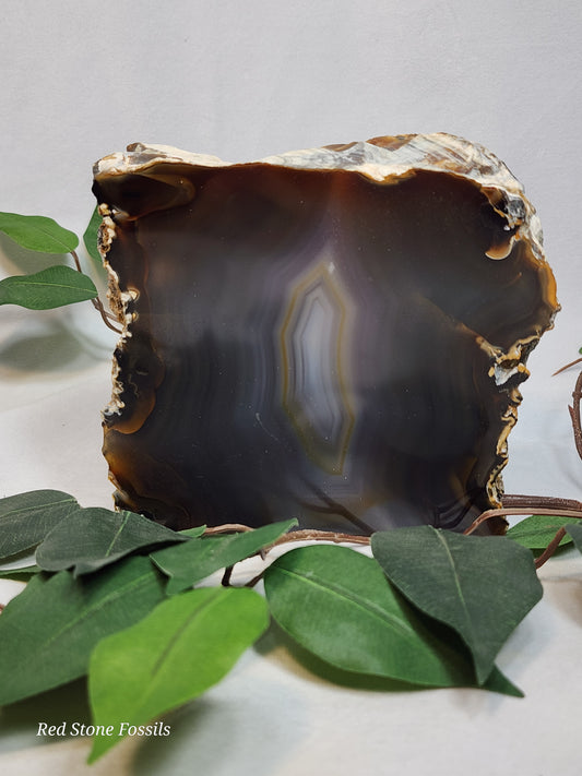 Beautifully Banded Agate Slice