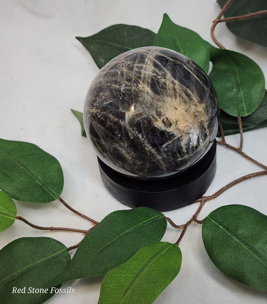 Black Moonstone from Madagascar