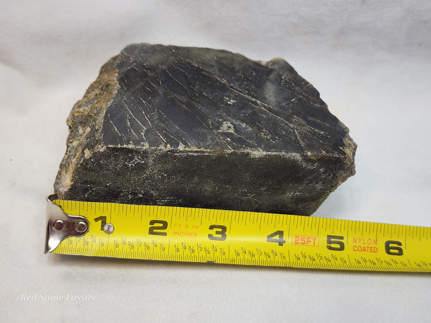 Rough Labradorite with Polished Front