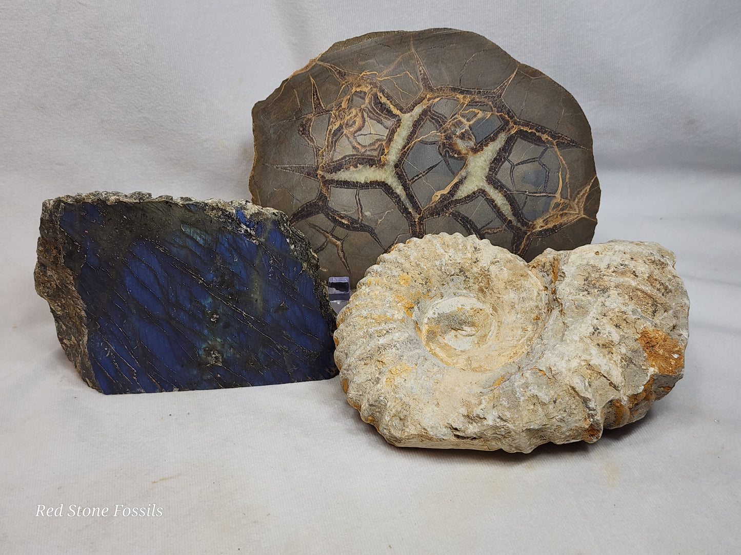 Rough Labradorite with Polished Front