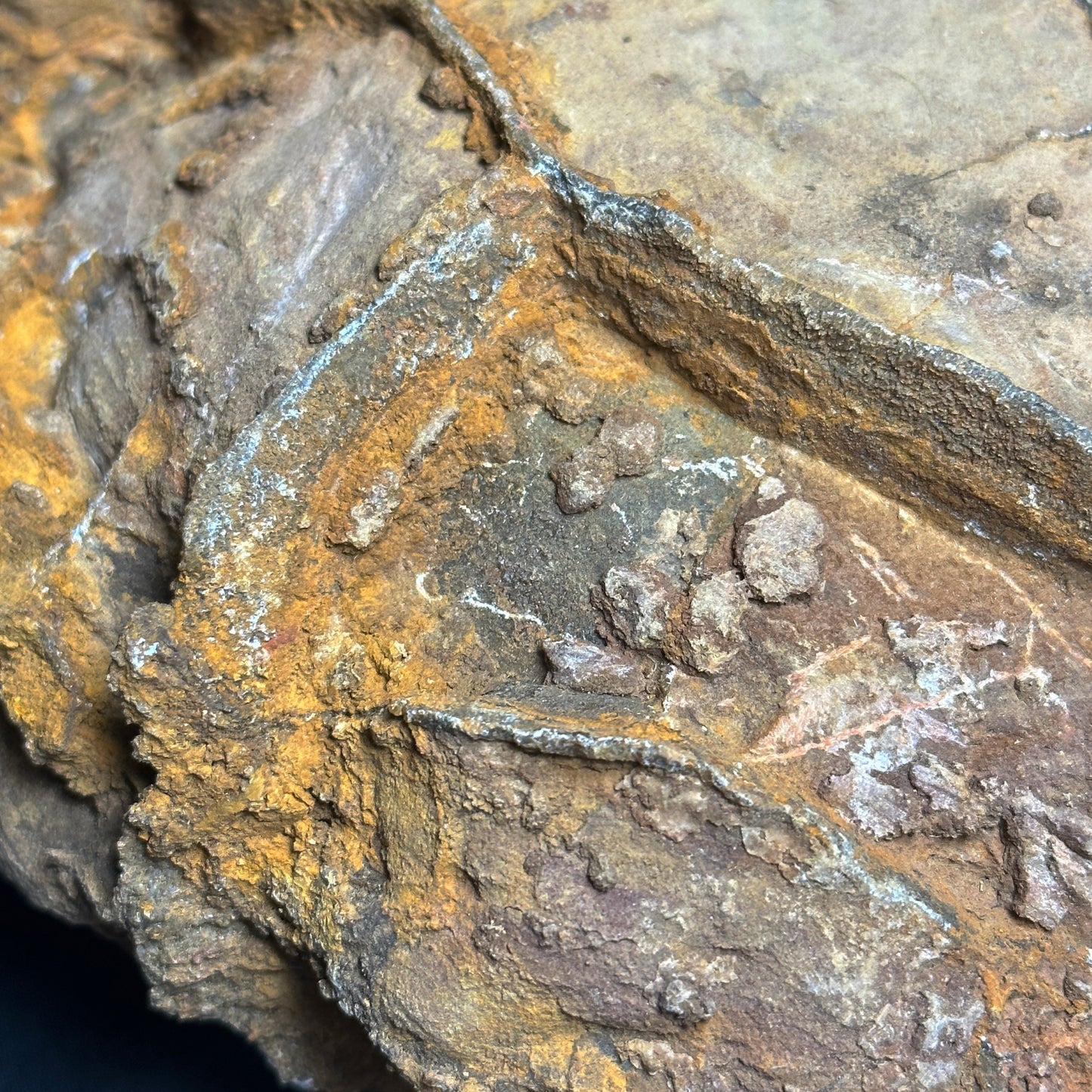 Amazing Septarian Nodule