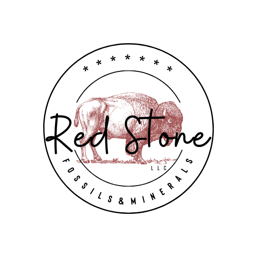 Red Stone Fossil Gift Card