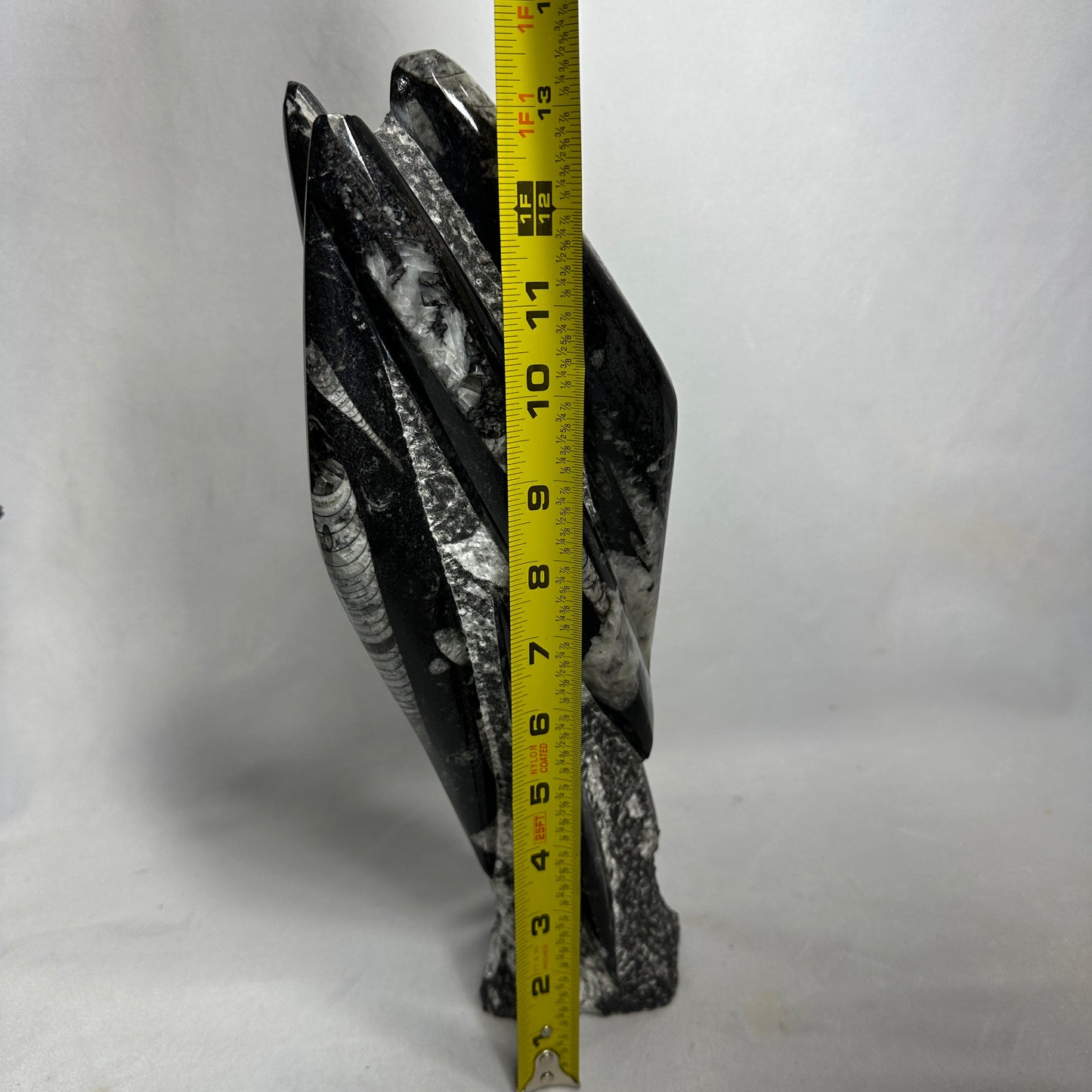 13.5" Beautiful Orthoceras Tower