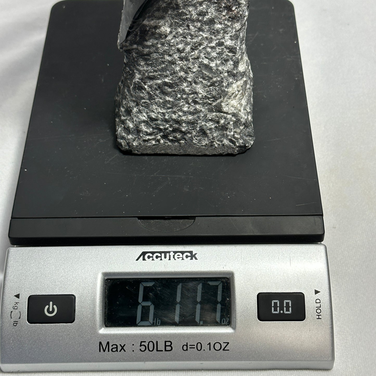 13.5" Beautiful Orthoceras Tower