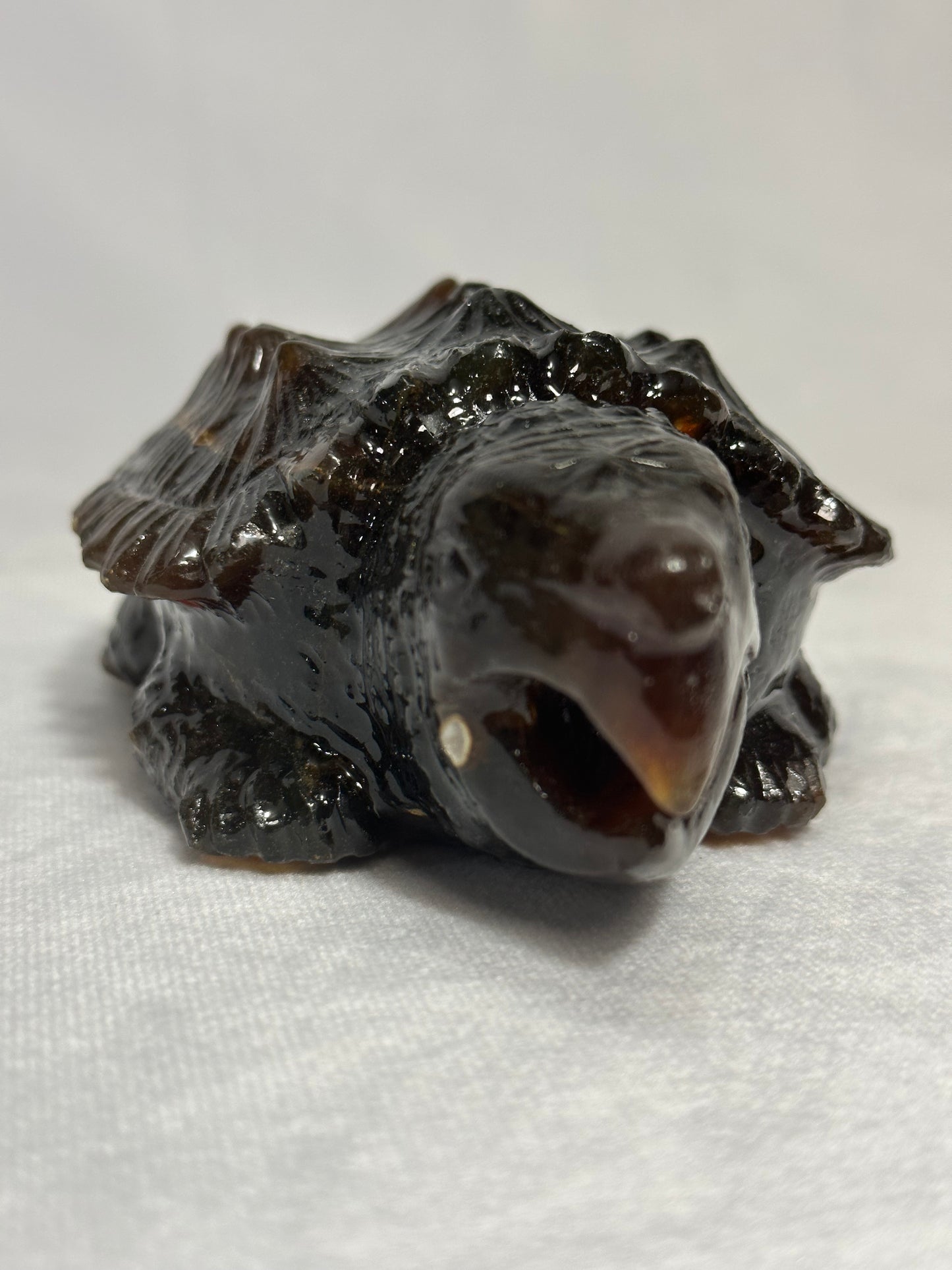 Dark Sumatran Amber Snapping Turtle