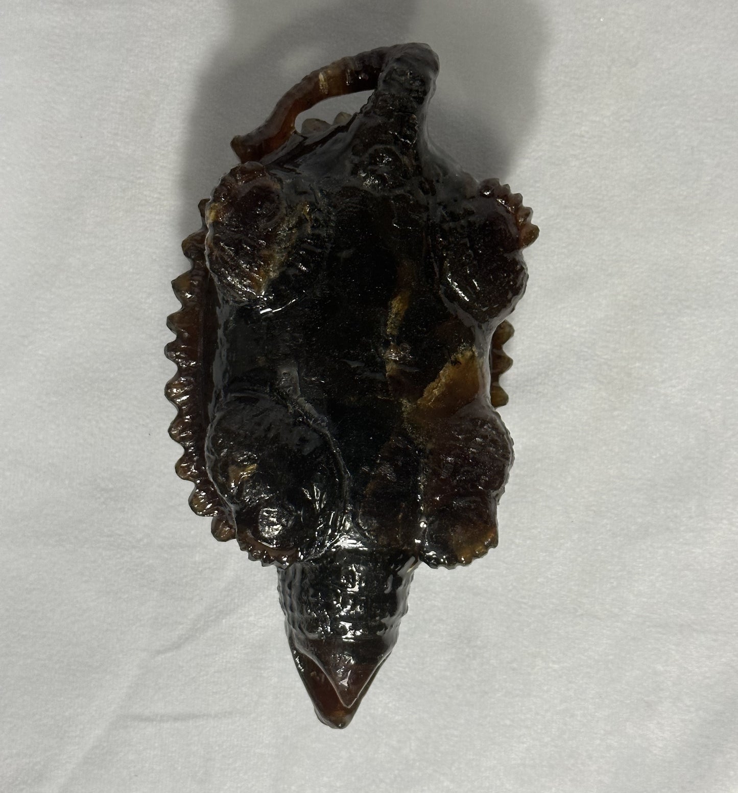 Dark Sumatran Amber Snapping Turtle