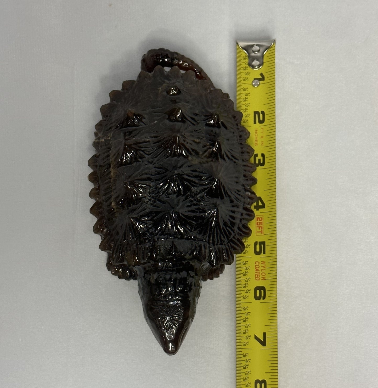 Dark Sumatran Amber Snapping Turtle