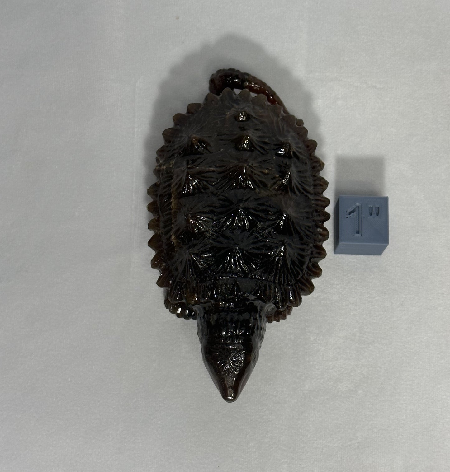 Dark Sumatran Amber Snapping Turtle