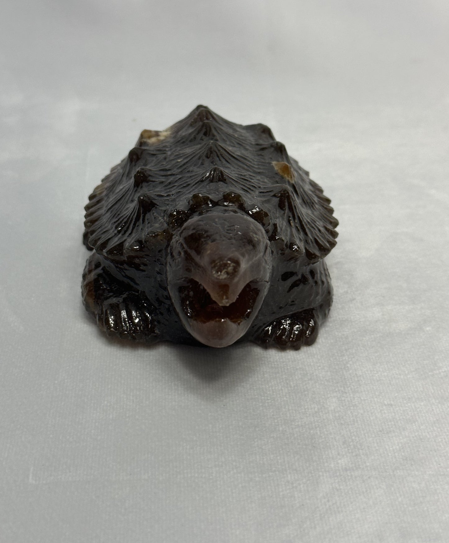 Stunning Amber Snapping Turtle