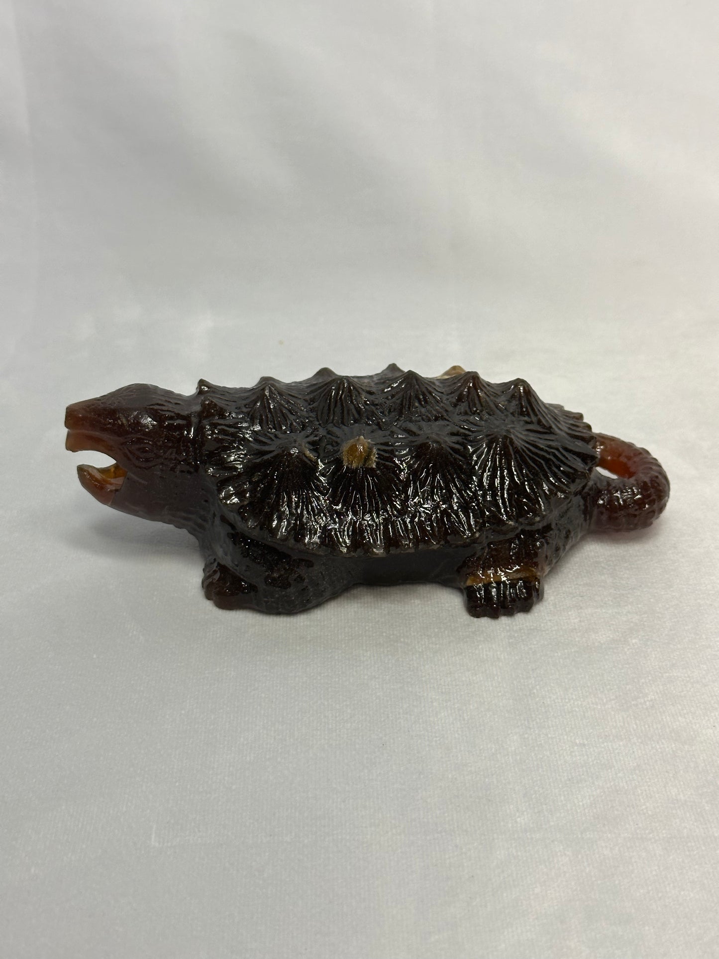 Stunning Amber Snapping Turtle