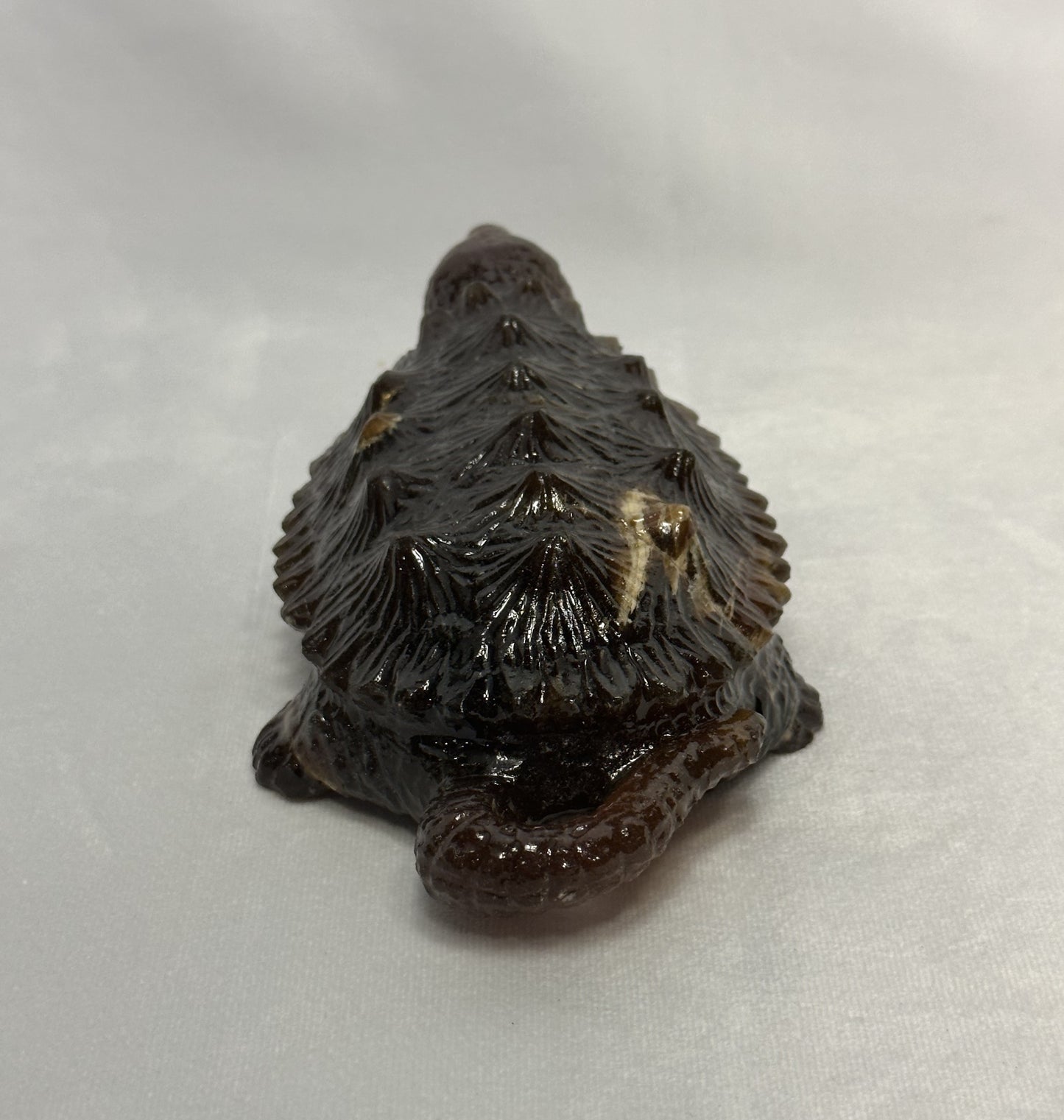 Stunning Amber Snapping Turtle