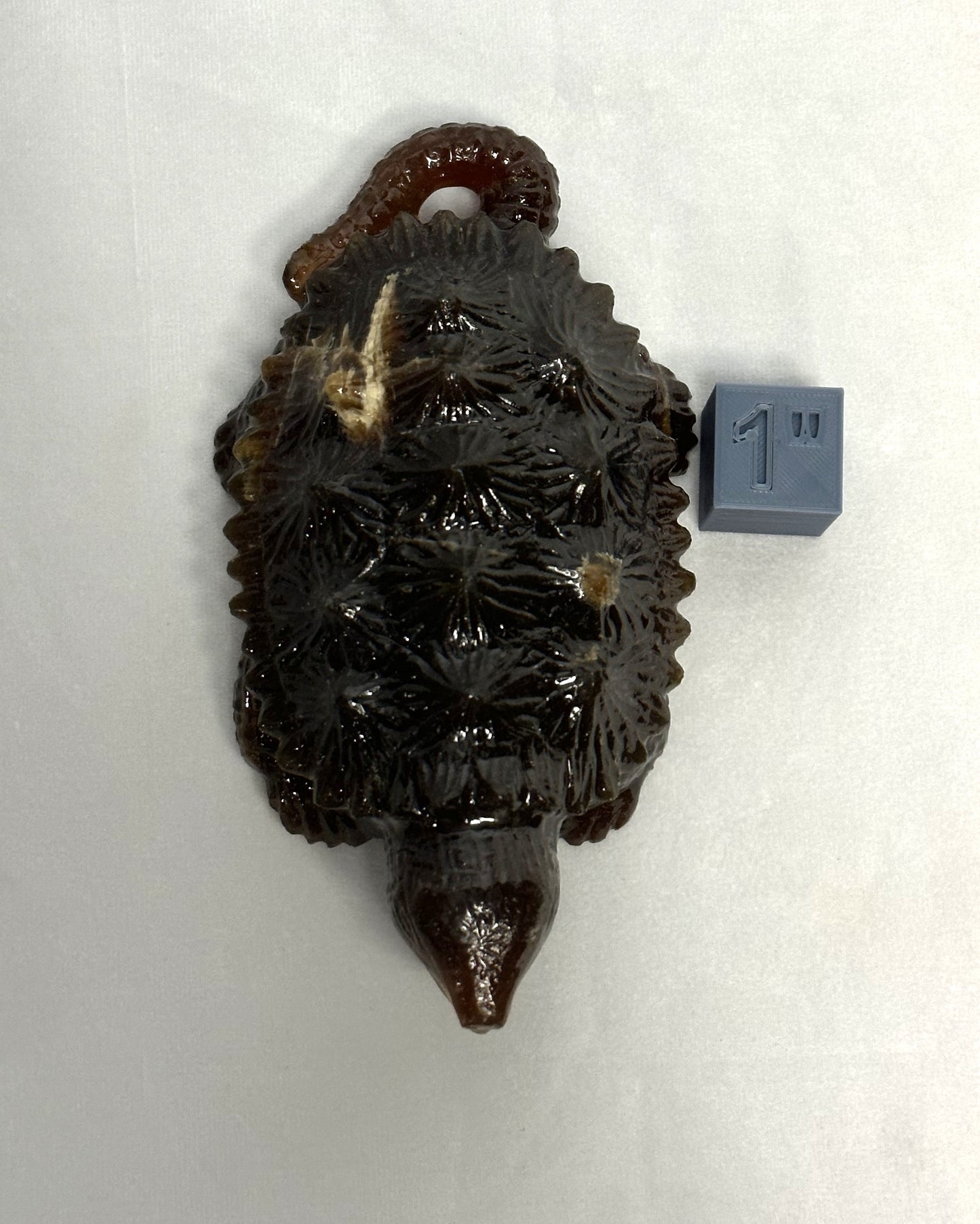 Stunning Amber Snapping Turtle