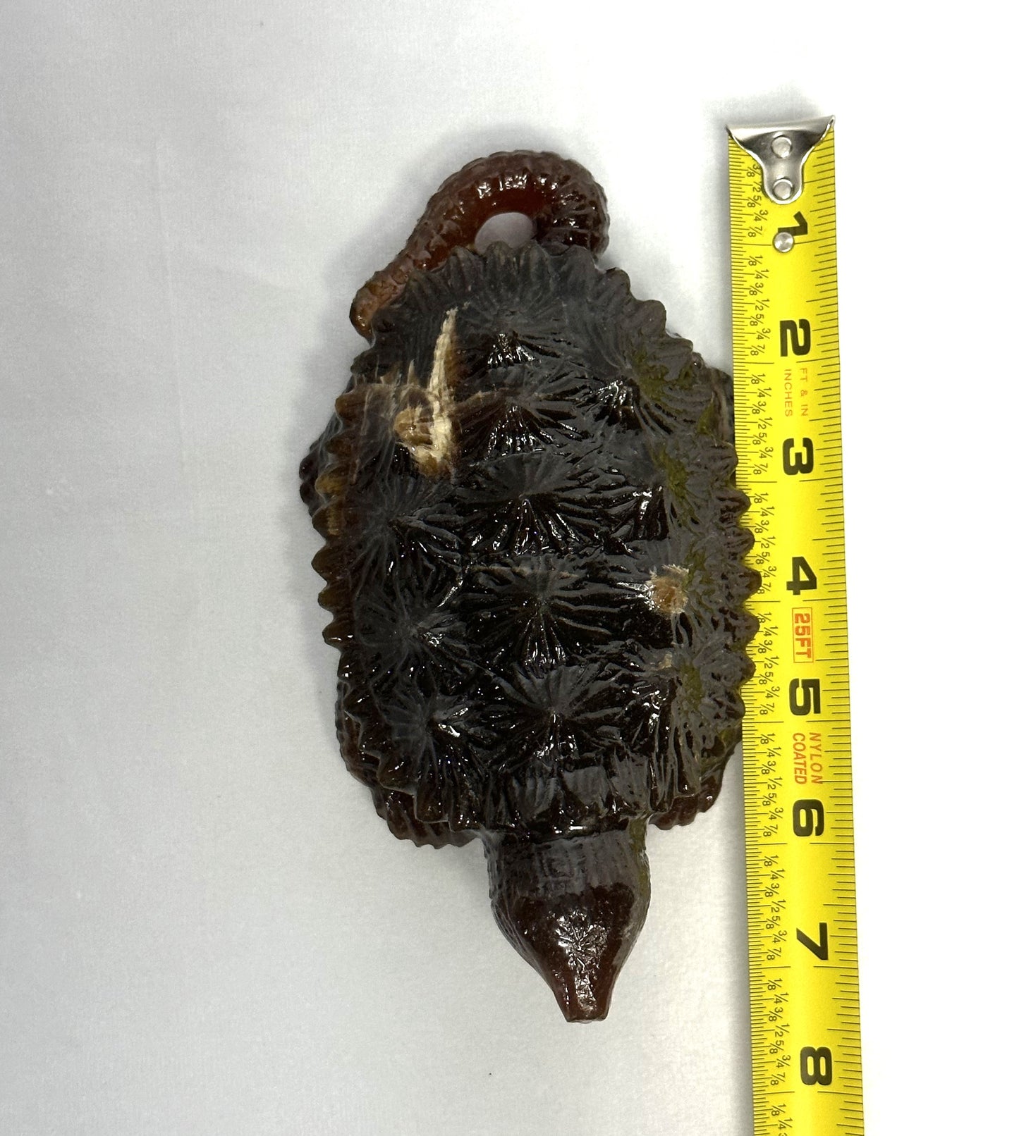 Stunning Amber Snapping Turtle