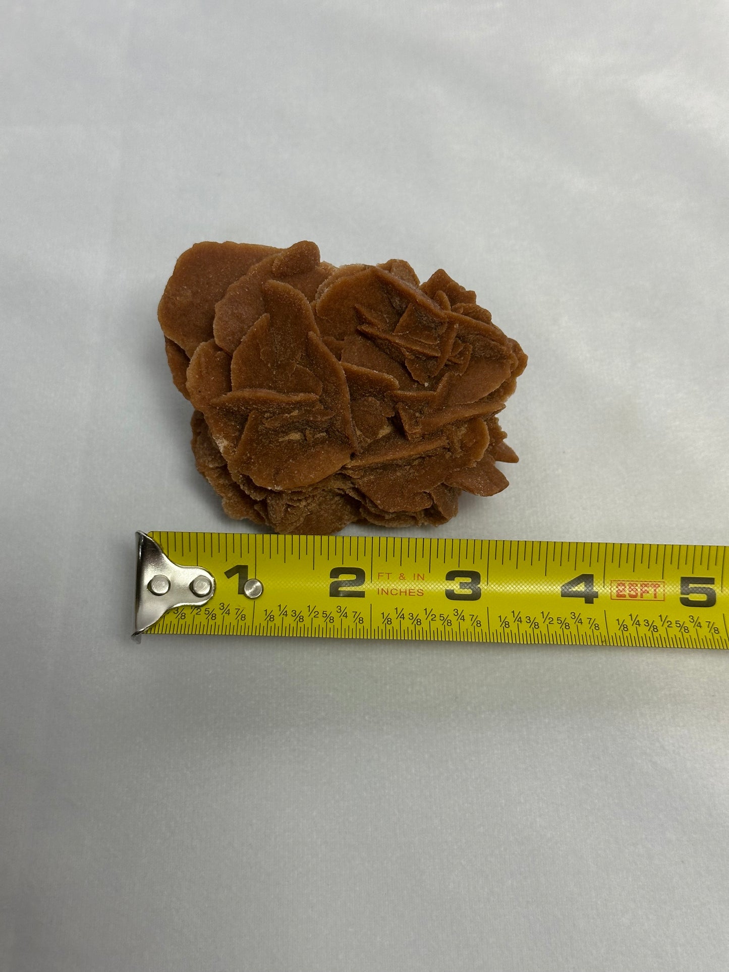 Rusty-Red Desert Rose