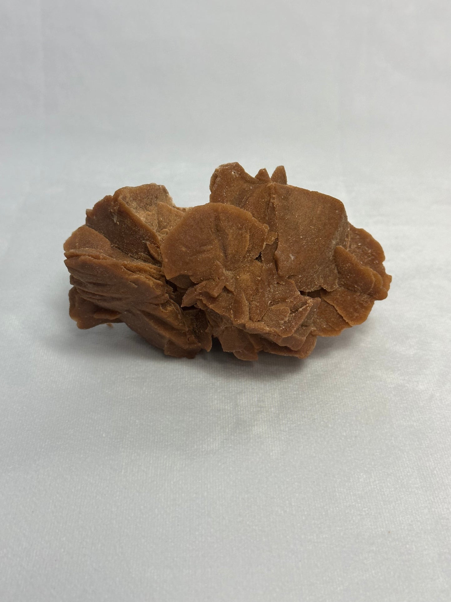 Desert Rose Cluster